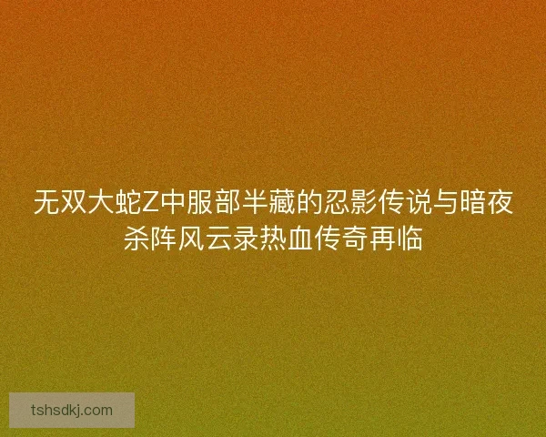 无双大蛇Z中服部半藏的忍影传说与暗夜杀阵风云录热血传奇再临 无双大蛇Z中服部半藏的忍影传说与暗夜杀阵风云录热血传奇再临