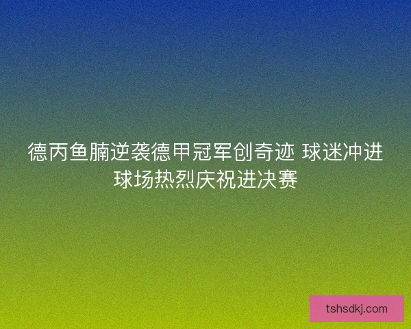 德丙鱼腩逆袭德甲冠军创奇迹 球迷冲进球场热烈庆祝进决赛